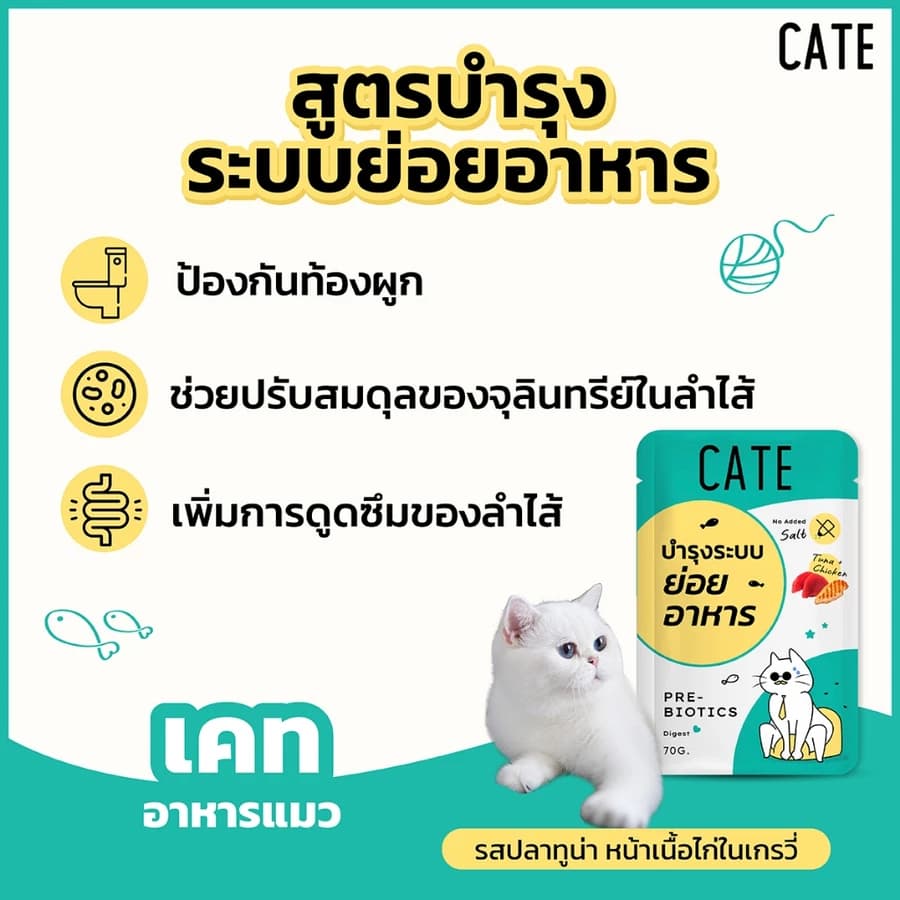 พรีไบโอติกแมว CATE เคท อาหารเปียกแมว ขนมแมวเลีย บำรุงระบบย่อยอาหาร เซต อาหารแมวท้องผูก ขับถ่ายคล่อง รูปที่ 5
