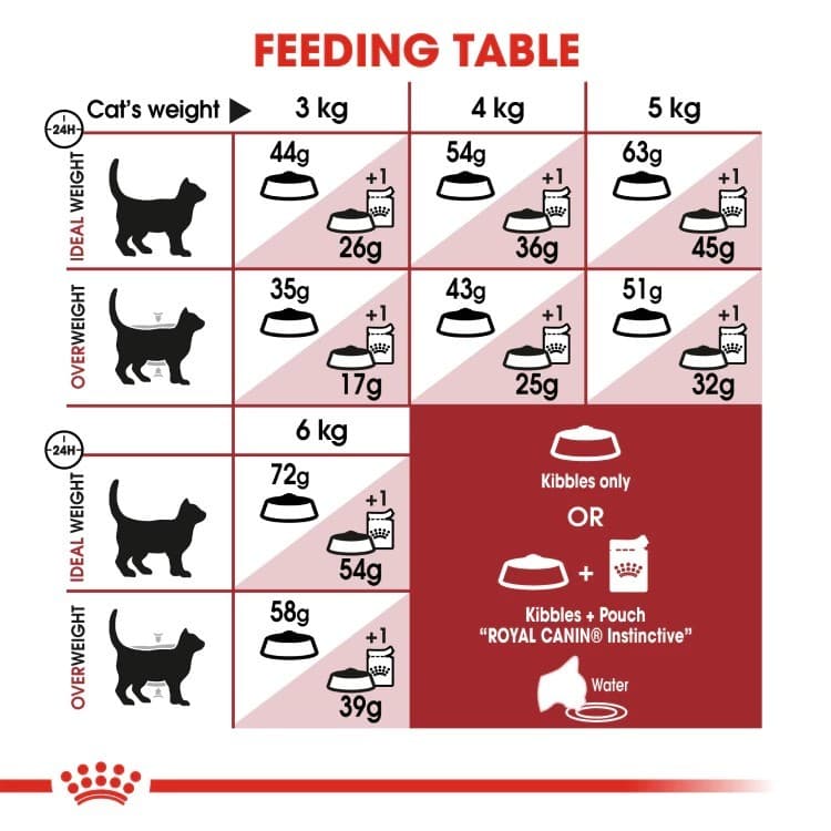โปรแรง 6.6 เท่านั้น ! Royal Canin Fit โรยัล คานิน ฟิต สำหรับแมวโต เพื่อรูปร่างสมส่วน อายุ 1 ปีขึ้นไป ขนาด 4 kg. รูปที่ 6