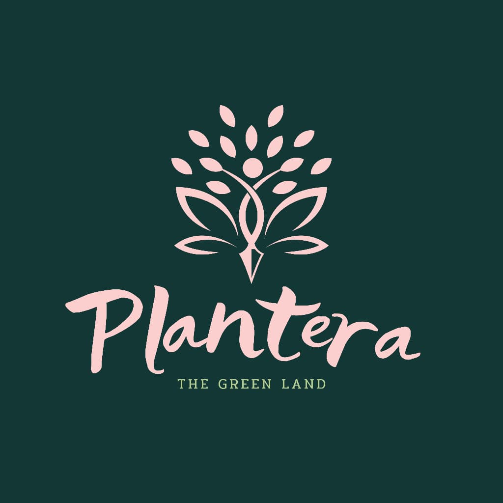 Plantera ปุ๋ยกุหลาบ เร่งดอกดก ขนาด 500 กรัม, 250 กรัม, 100 กรัม รูปที่ 4