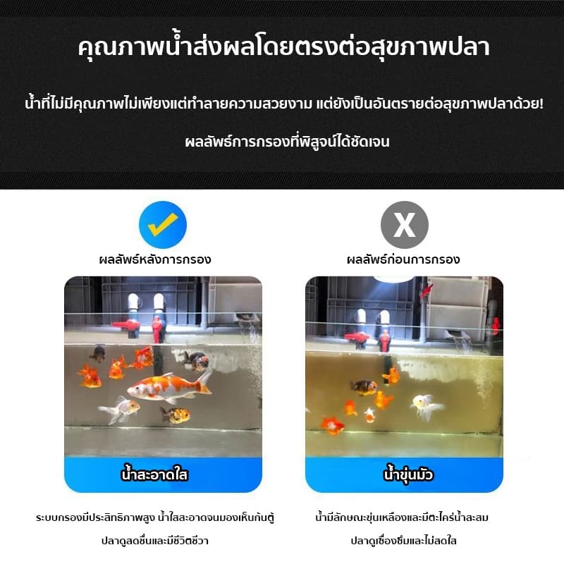 กล่องกรองน้ำ กรองน้ำอย่างมีประสิทธิภาพ ทำให้น้ำสะอาด กรองบ่อปลา กล่องกรองตู้ปลา กรองตู้ปลา ออกซิเจนปลา เพิ่มออกซิเจน รูปที่ 3