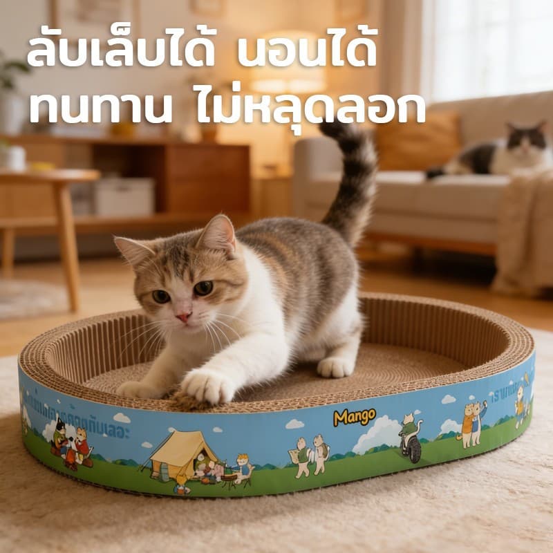 ที่ลับเล็บแมวทรงอ่าง ที่ฝนเล็บ พร้อมแคทนิปในตัว ใช้เป็นที่นอนได้ ของเล่นแมว อ่างลับเล็บแมว ที่ฝนเล็บแมว ที่ขูดเล็บแมว รูปที่ 2