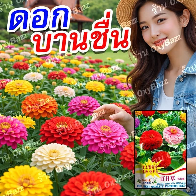 เมล็ดดอกบานชื่น 200 เมล็ด คละสี ดอกใหญ่ สีสด ปลูกง่าย โตไว ออกดอกเร็ว ปลูกในกระถางและแปลง รูปที่ 1