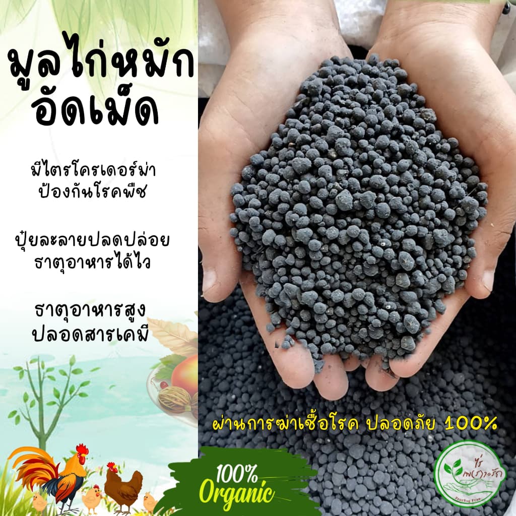 ขี้ไก่หมักอัดเม็ด เกรดA กระสอบ 20 กิโล ละลายไวไร้กลิ่น มูลไก่อัดเม็ด ** ผสมไตรโครเดอร์ม่า ดอกดกผลใหญ่ รูปที่ 3