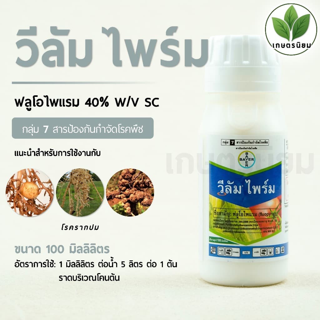 วีลัม ไพร์ม 100 มิลลิลิตร รูปที่ 1
