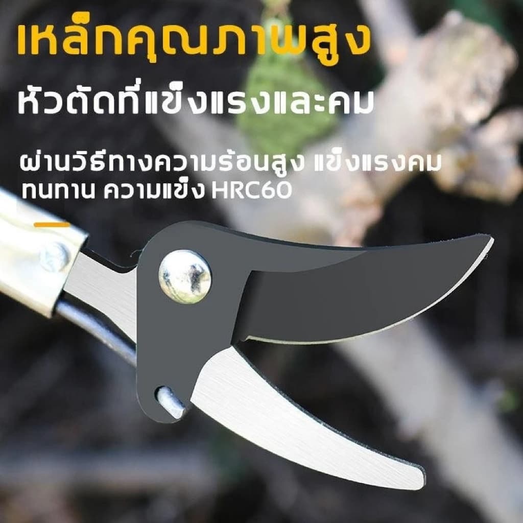 กรรไกรตัดกิ่งไม้สูง กรรไกรตัดกิ่ง ตัดกิ่งไม้เร็ว ด้ามจับยาว กรรไกรเก็บผลไม้ กรรไกรเก็บผลไม้ ตัดกิ่งไม้หนา 3 ซม รูปที่ 3