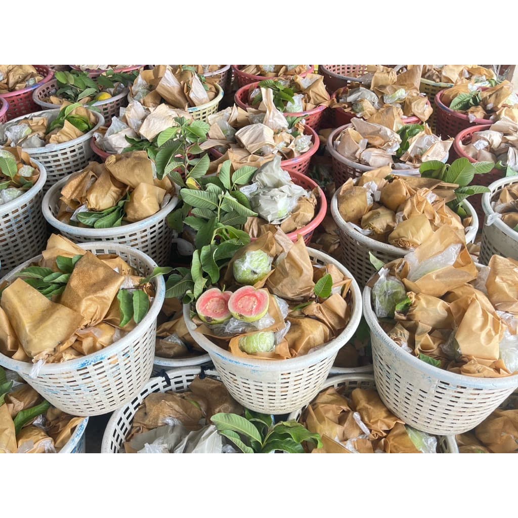 ฝรั่งไส้แดงเกรดมีตำหนิ นิดหน่อย 1 กิโล รูปที่ 5