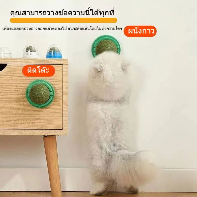 บอลกัญชาแมว ธรรมชาติ ของเล่นแมวลับฟัน ทำความสะอาดฟัน ทนกัด แมวเล่นเองแก้เบื่อได้ รูปที่ 5