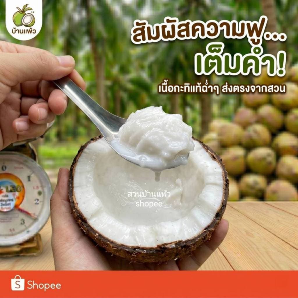 มะพร้าวกะทิ เนื้อฟู เหนียวนุ่ม สดใหม่ ส่งตรงจากสวนบ้านแพ้ว รูปที่ 2