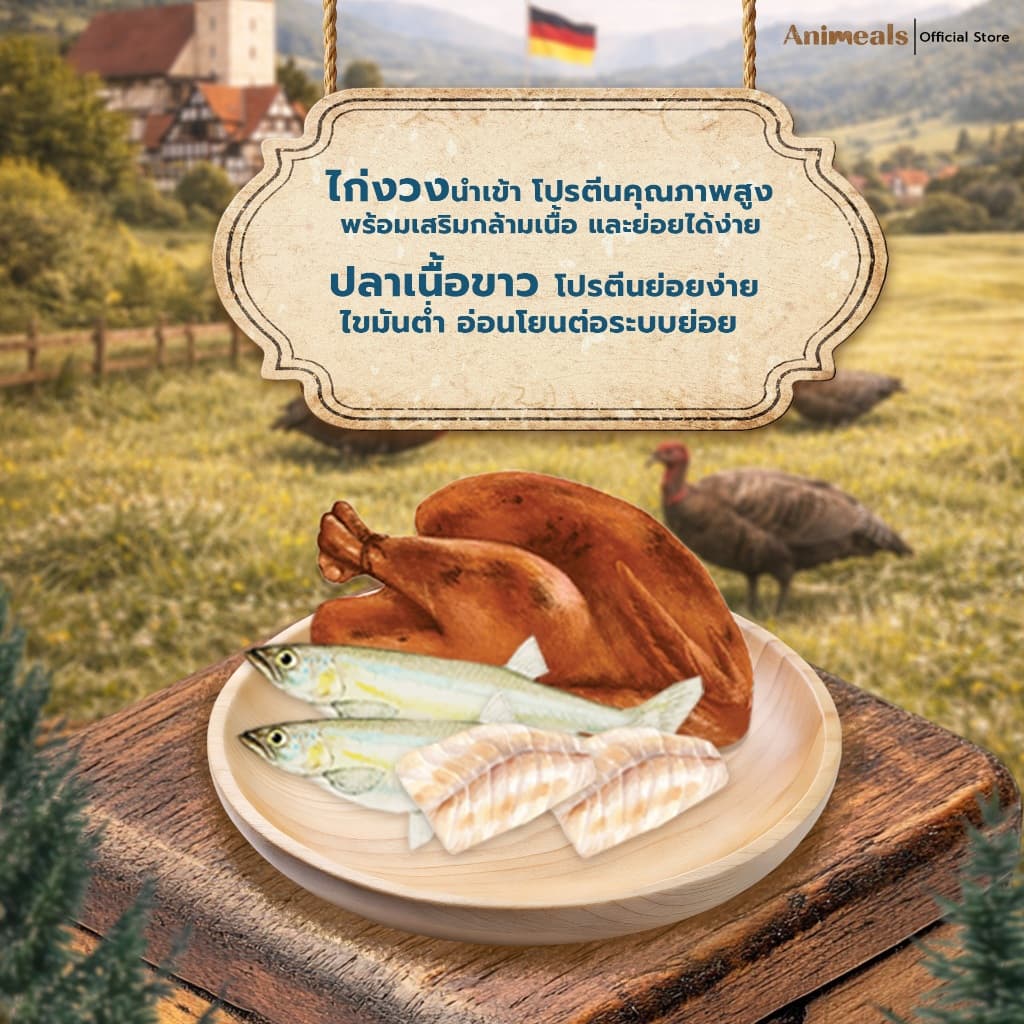 Animeals Sensation อาหารแมว 1.2kg สูตรกินง่าย หอมอร่อย สำหรับแมวเลือกกิน เบื่ออาหาร ไก่งวงและปลาเนื้อขาว กลูเตนฟรี รูปที่ 5