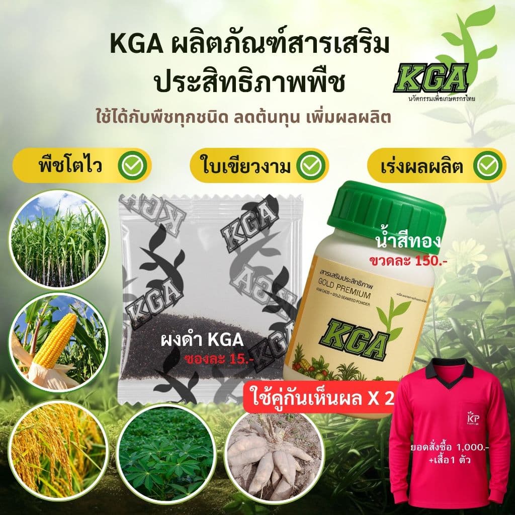 KGA อาหารพืชทางใบ ผงดำ 100 ซอง แถมน้ำสีทอง 1 ขวด รูปที่ 4