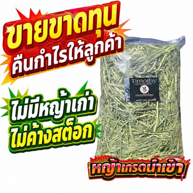 🎉หญ้าเกรดนำเข้า🎉 ทิมโมธี 1กก Timothy คัท1 ใบเยอะ ดอกเยอะ ขายดี