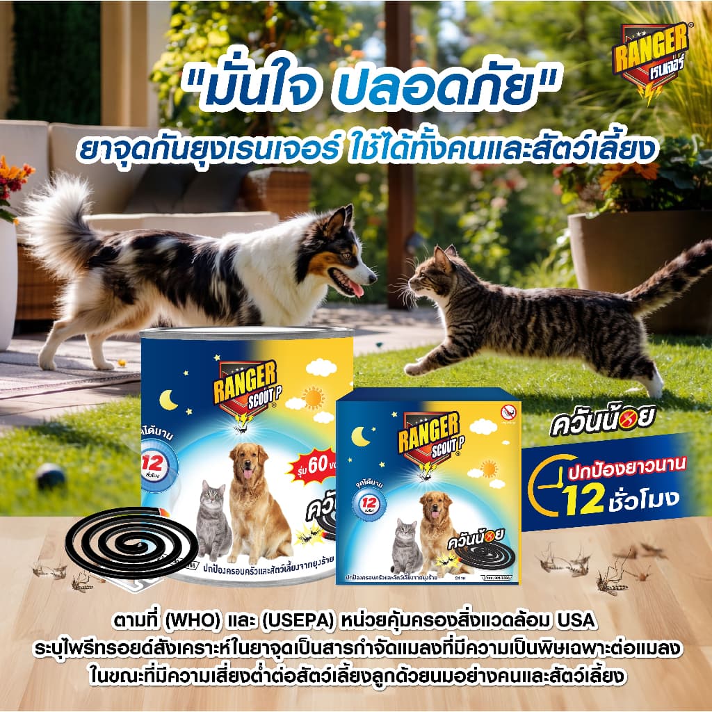 เรนเจอร์ พี ยากันยุงควันน้อย 12 ชม 60 ขด + ตะแกรง 111S007 รูปที่ 3