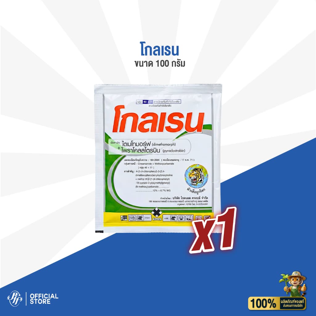 โกลเรน 100 กรัม ไดเมโทมอร์ฟ + ไพราโคลสโตรบิน ยอดเน่า ผลเน่า ใบจุด ราแป้ง ช่อดำ โรคไฟทอป รูปที่ 2