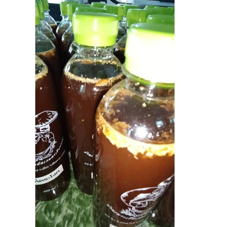 เชื้อเห็ดระโงกเหลือง ขนาด 500 ML. รูปที่ 5