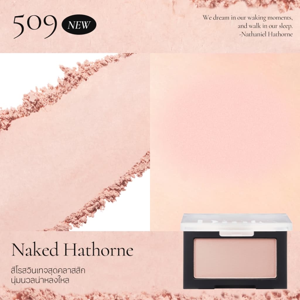 Dinto : Blur-Glowy Lip Tint + Blur-Finish blusher รูปที่ 9