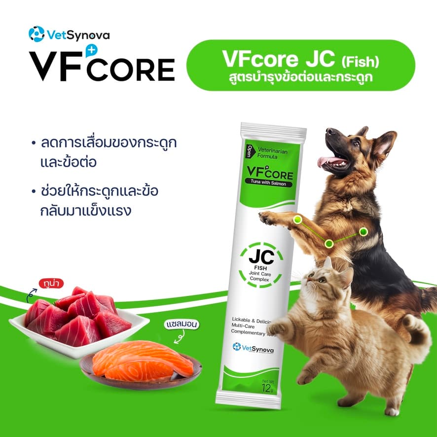 VFcore JC Fish วิตามินแมวเลียบำรุงข้อ สูตรเนื้อปลา 12 ซอง รูปที่ 4