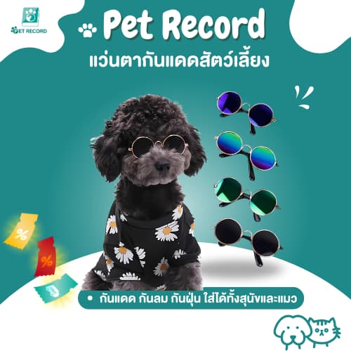 Pet Record แว่นตาสัตว์เลี้ยง แว่นแมว แว่นสุนัข กันลม กันฝุ่น ดีไซน์น่ารัก แถมฟรีสายคล้องแว่นกันลื่น รูปที่ 1