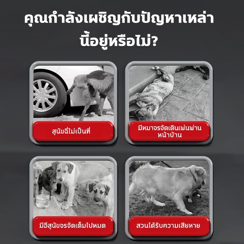 พอได้กลิ่นก็รีบหนีผงไล่หมา ไล่หมา ผงโรยไล่หมาแมว 500กรัม ป้องกันไล่ได้ยาวนาน แบบไม่ทำร้ายสัตว์ ป้องกันการถ่าย รูปที่ 2