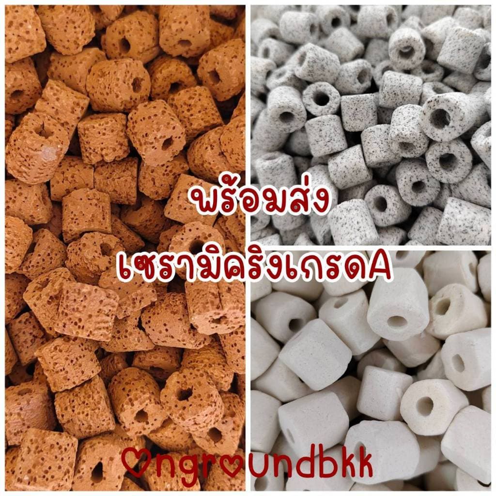 เซรามิคริง กรองน้ำบ่อปลา กรองน้ำใส ดูดีกลิ่น หินกรองตู้ปลา รูปที่ 1