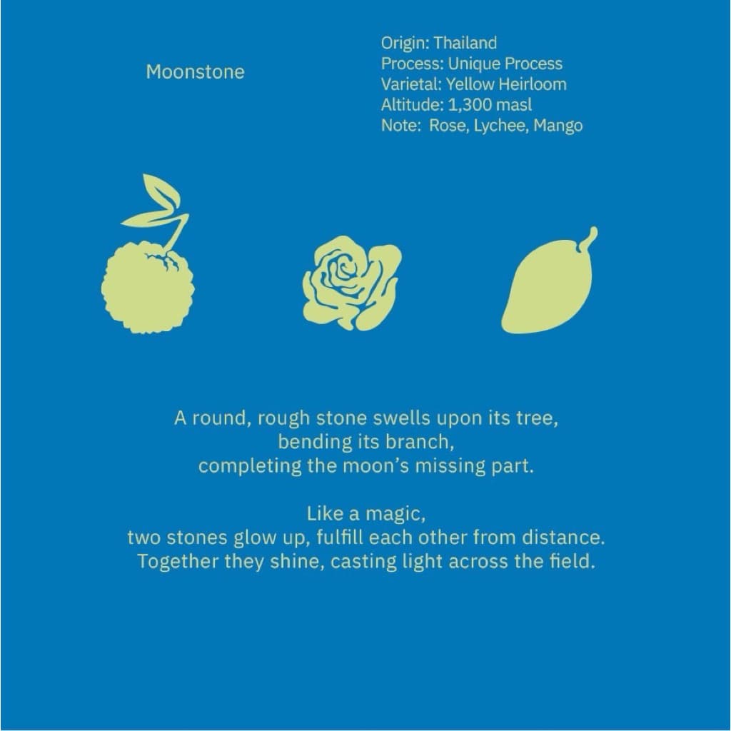 Rêver Roaster | เมล็ดกาแฟ MOONSTONE First Valley เชียงใหม่ คั่วอ่อน | Single Origin รูปที่ 2