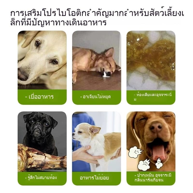 KetzuzuPet อาหารเสริมสำ วิตามิน 14g รูปที่ 4