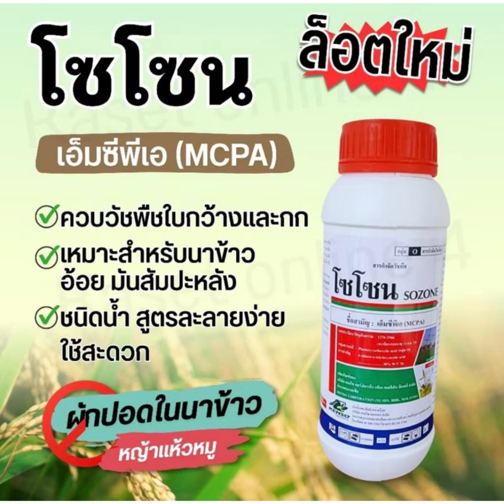 โซโซน 1 ลิตร เอ็มซีพีเอ MCPA สูตรไร้กลิ่น kenso ใบกว้าง กก แห้วหมู ในนาข้าว อ้อย มัน สนามหญ้า รูปที่ 5