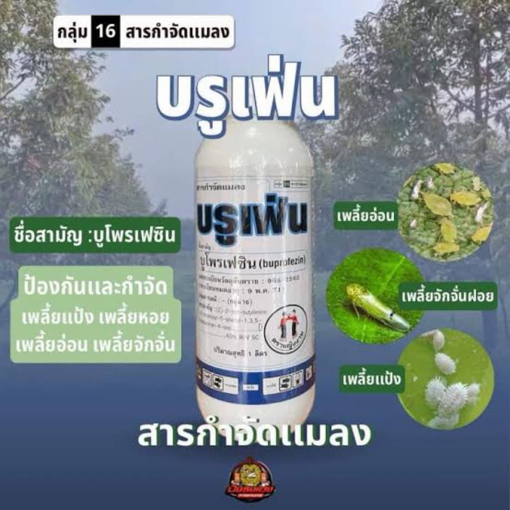 บรูเฟ่น 1 ลิตร ตราหญิงงาม บูโพรเฟซิน40% คุมไข่เพลี้ย เพลี้ยไฟ เพลี้ยไก่แจ้ เพลี้ยหอย เพลี้ยแป้ง รูปที่ 1