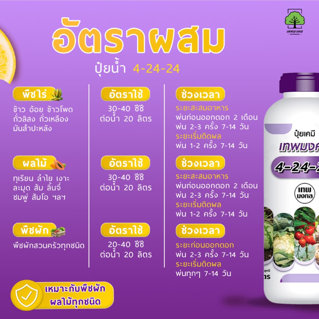 ปุ๋ยน้ำตราเทพมงคล สูตร 4-24-24 แพ็ค 2 ขวด เปิดตาดอกขยายผล เพิ่มผลผลิต เพิ่มเนื้อ เพิ่มน้ำหนัก 1 ลิตร รูปที่ 9