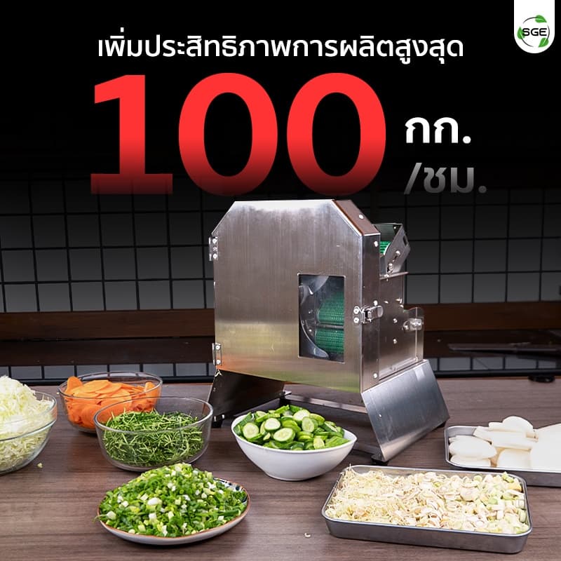 SGE เครื่องหั่นผักสายพาน รุ่น VS-SPIN ปรับขนาดหั่นได้ กำลังผลิตสูง ศูนย์ไทย สินค้า รูปที่ 2