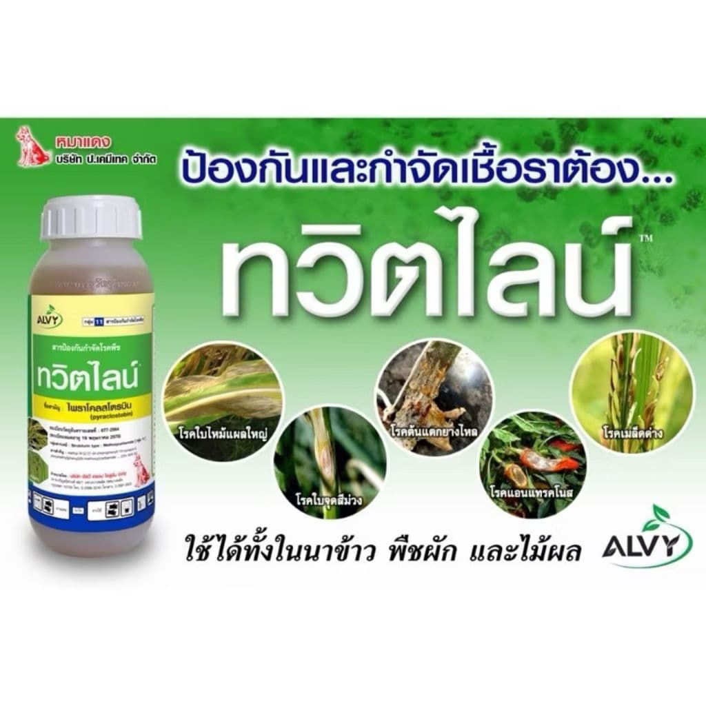คาซู่ 1 ลิตร คาซูกาไมซิน แบคทีเรีย ไวรัส ใบส้ม ใบขีด ใบจุด ใบโปร่งแสง เชื้อรากาบใบแห้ง รูปที่ 5