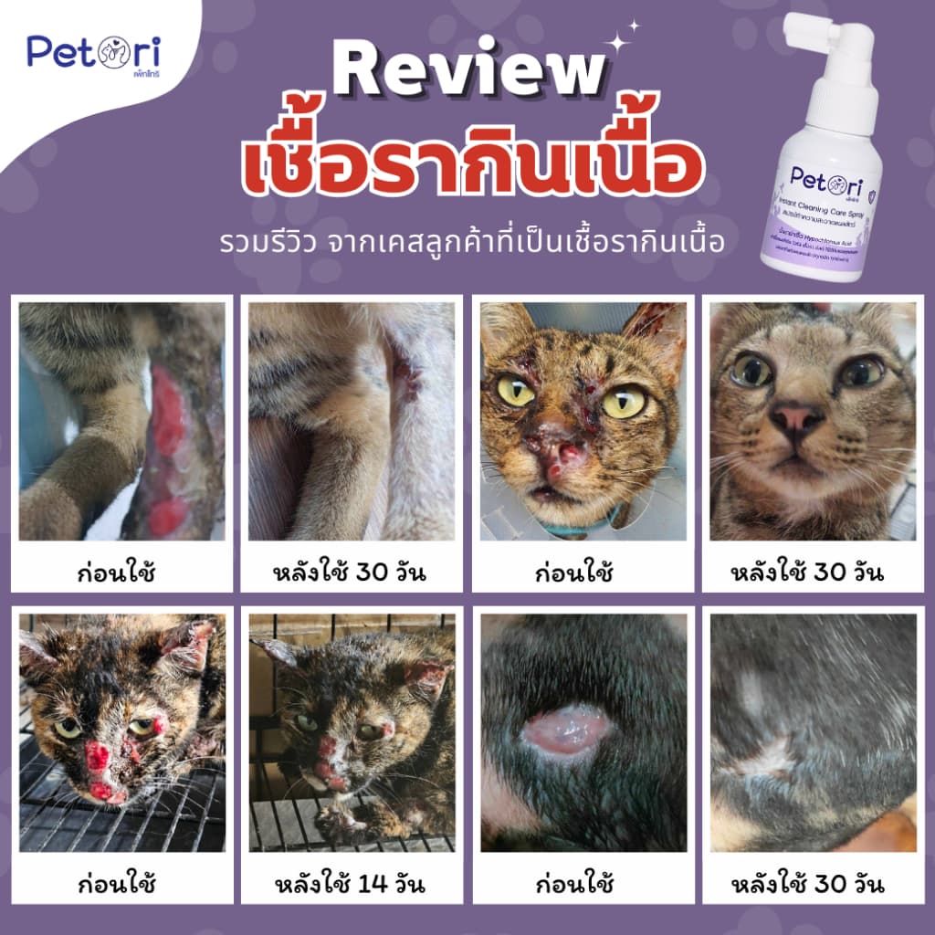 ใช้ดีแผลแห้งเร็ว Petori 50 ml สเปรย์พ่นแผลสด แผลหนอง เชื้อรา ผื่นแดง คันเกา หมาแมวกระต่าย Exotic Pet รูปที่ 2