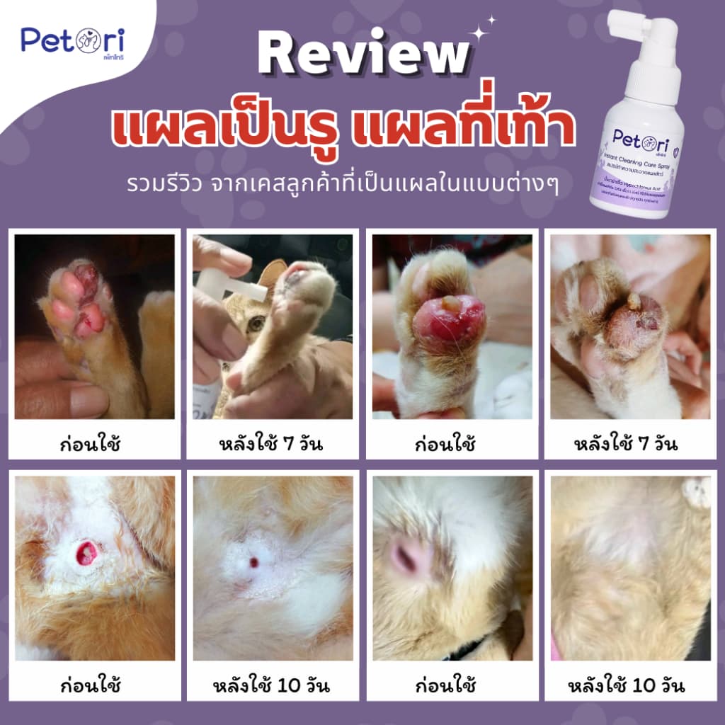 ใช้ดีแผลแห้งเร็ว Petori 50 ml สเปรย์พ่นแผลสด แผลหนอง เชื้อรา ผื่นแดง คันเกา หมาแมวกระต่าย Exotic Pet รูปที่ 4