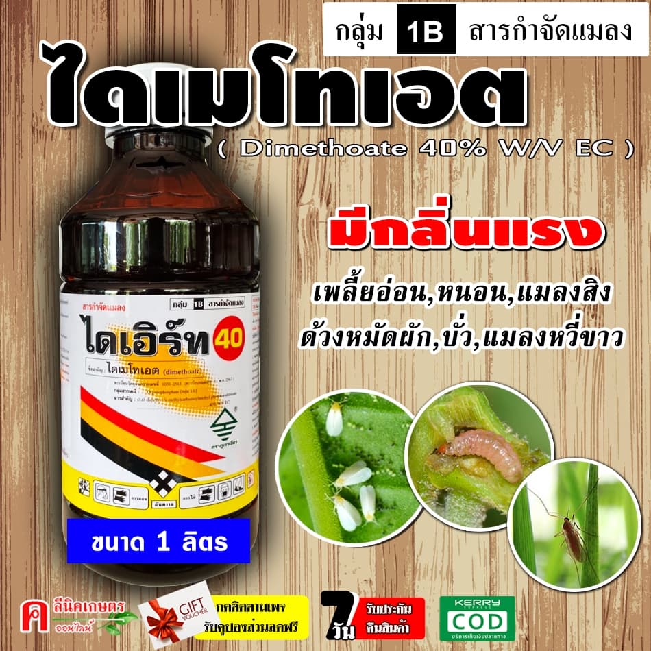 // ขายยกลัง //ไดเอิร์ท-ไดเมโทเอต ป้องกันกำจัดแมลง แมงกะแท้ แมงบิน หนอนเจาะ หนอนกอข้าว รูปที่ 2