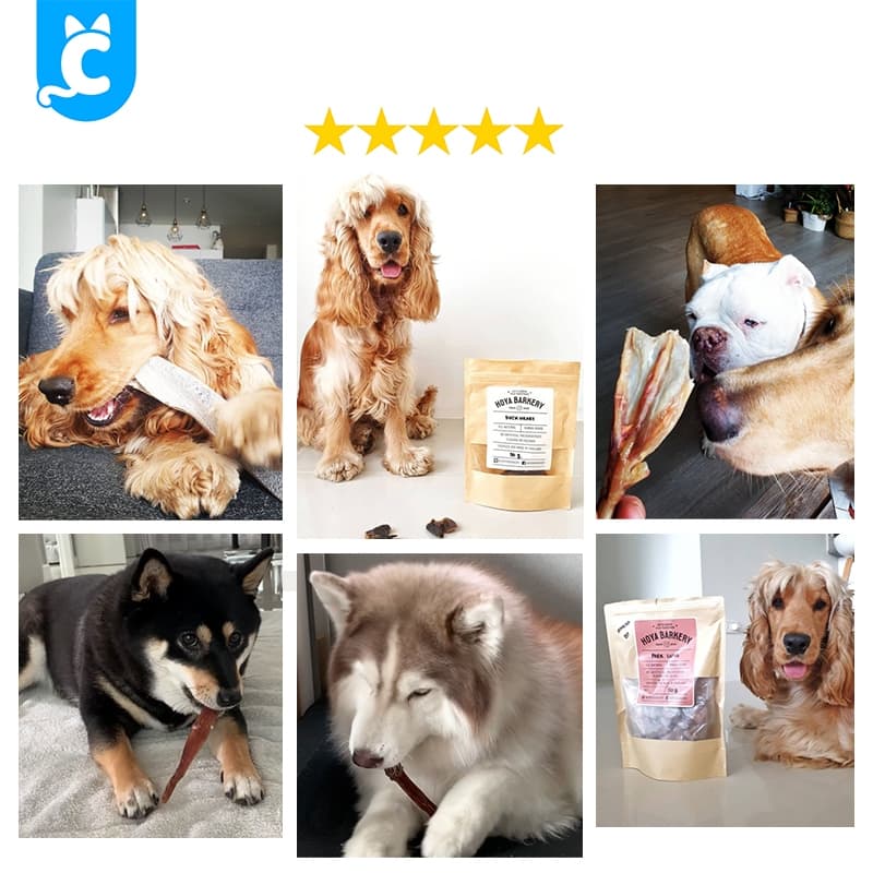 Hoya Barkery ขนมสุนัข เท้าเป็ด คอเป็ด อบแห้ง ขนมขัดฟัน ขนมหมา Dog Treat Cleverpet รูปที่ 8