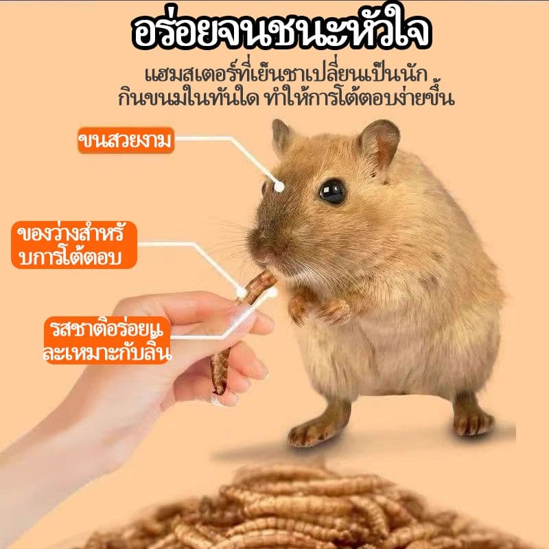 PETLUSCI® หนอนนกอบแห้ง 1300ML หนอนอาหาร หนอนอบแห้ง อาหารหนูแฮมเตอร์ hamster โปรตีนสูง อาหารนก เต่า รูปที่ 6
