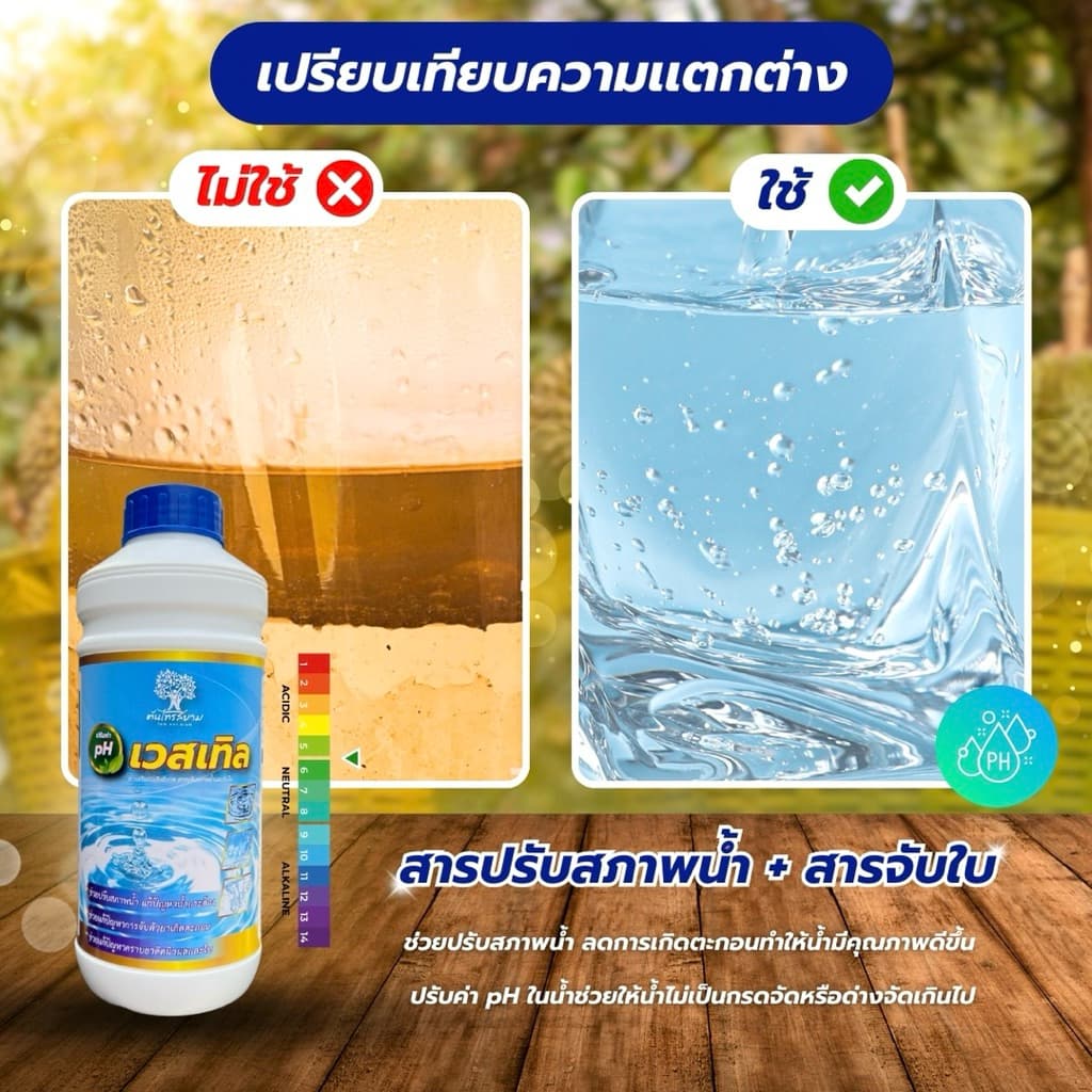 เวสเทิล สารปรับสภาพน้ำ+สารจับใบ ช่วยปรับสภาพน้ำลดการเกิดตะกอน ช่วยเพิ่มประสิทธิภาพสารเกาะติดใบพืชได้ดี ปรับค่า pH ในน้ำ รูปที่ 2