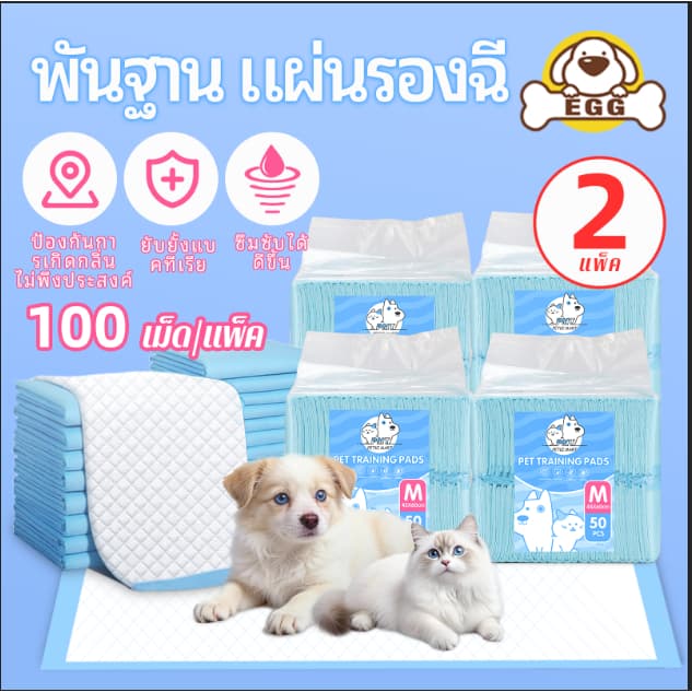 PMT แผ่นรองฉี่สุนัข ซึมซับไดีดี แผ่นรองฉี่ ผ้ารองฉี่สุนัข แผ่นรองฉี่แมว แผ่นรองซับ ป้องกันกลิ่นและต้านเชื้อแบคท รูปที่ 1