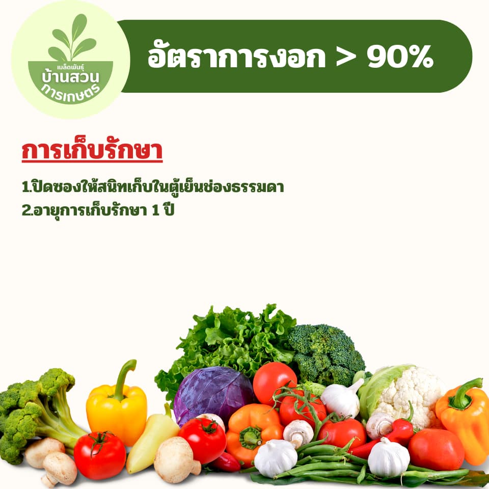 เมล็ดพันธุ์กุยช่าย จำนวน 200 เมล็ด รูปที่ 6