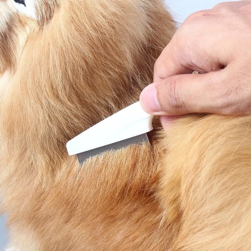 PETStar1หวีสางเห็บหมัด หวีสเตนเลส ก้านหวีถี่มาก สําหรับกําจัดหมัดขนสัตว์เลี้ยง สุนัข แมว หวีสัตว์เลี้ยง ใช้งานง่าย รูปที่ 7