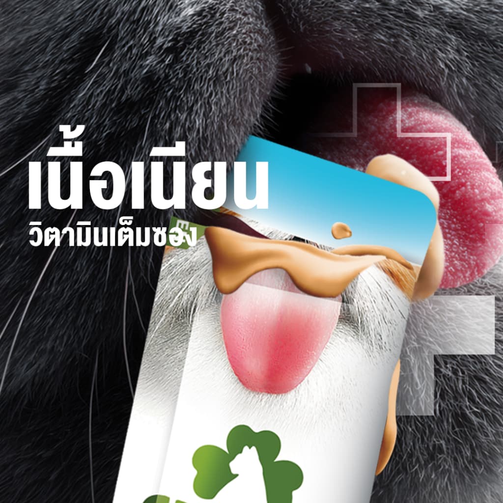 Clover Lickies วิตามินแมวเลีย เสริมสุขภาพแมว รูปที่ 6
