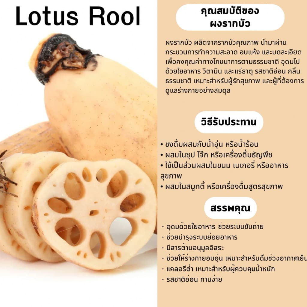 ผงรากบัว 100% เครื่องดื่มสุขภาพ ขนาด 100 กรัม รูปที่ 2