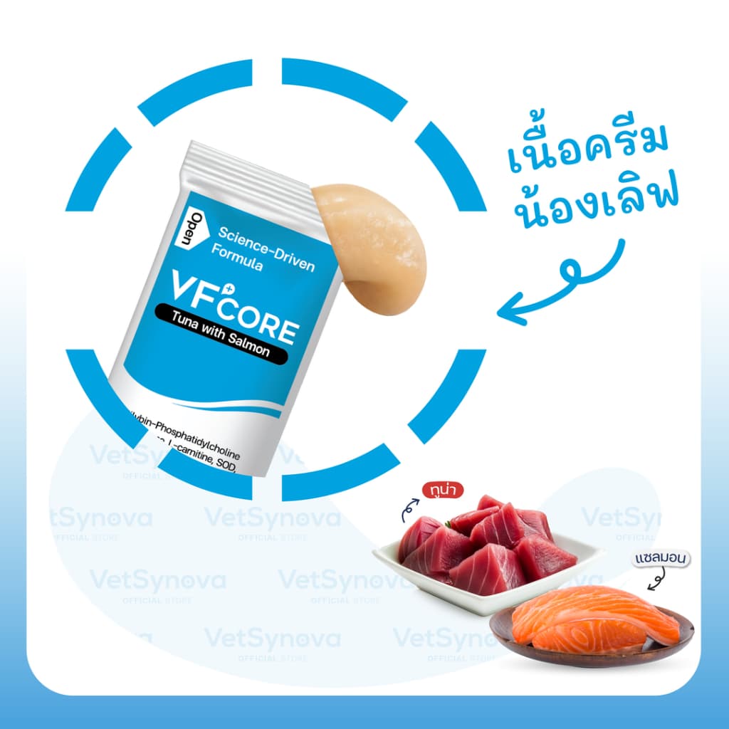 VFcore HP วิตามินแมวเลีย สูตรบำรุงตับ รูปที่ 2