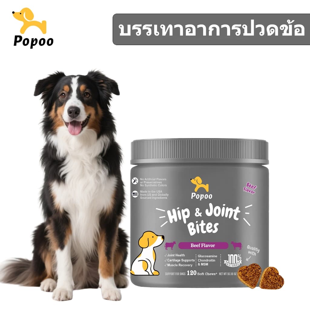 Popoo Hip & Joint Support for Dogs อาหารเสริมสุนัข เสริมสร้างข้อต่อ กระดูก Dogs Treats120 ชิ้น รูปที่ 1