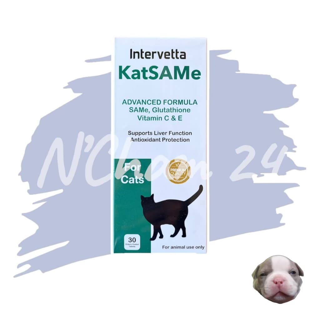 KatSAMe Intervetta หมดอายุ 8/2026 บำรุงตับ เสริมการทำงานของตับในแมว รูปที่ 1