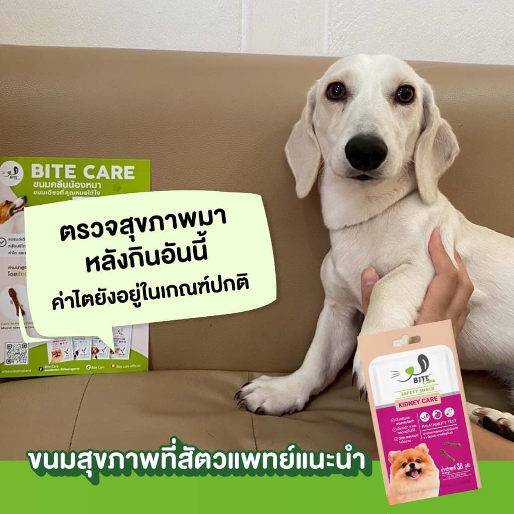 Bite Care ขนมขัดฟันสุนัขเพื่อสุขภาพ 38g เสริมกระดูกข้อ ภูมิคุ้มกัน ขนเงา Bite Care รูปที่ 5