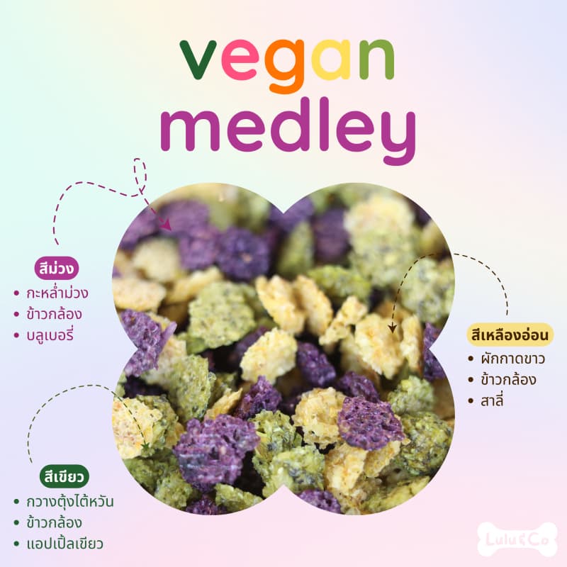 Vegan Medley ขนมมังสวิรัติ 3 สี ทำจากผักผลไม้สำหรับสุนัข ขนมหมา 50/100g Vegan Dehydrated Dog Treat by Lulu & Co รูปที่ 2