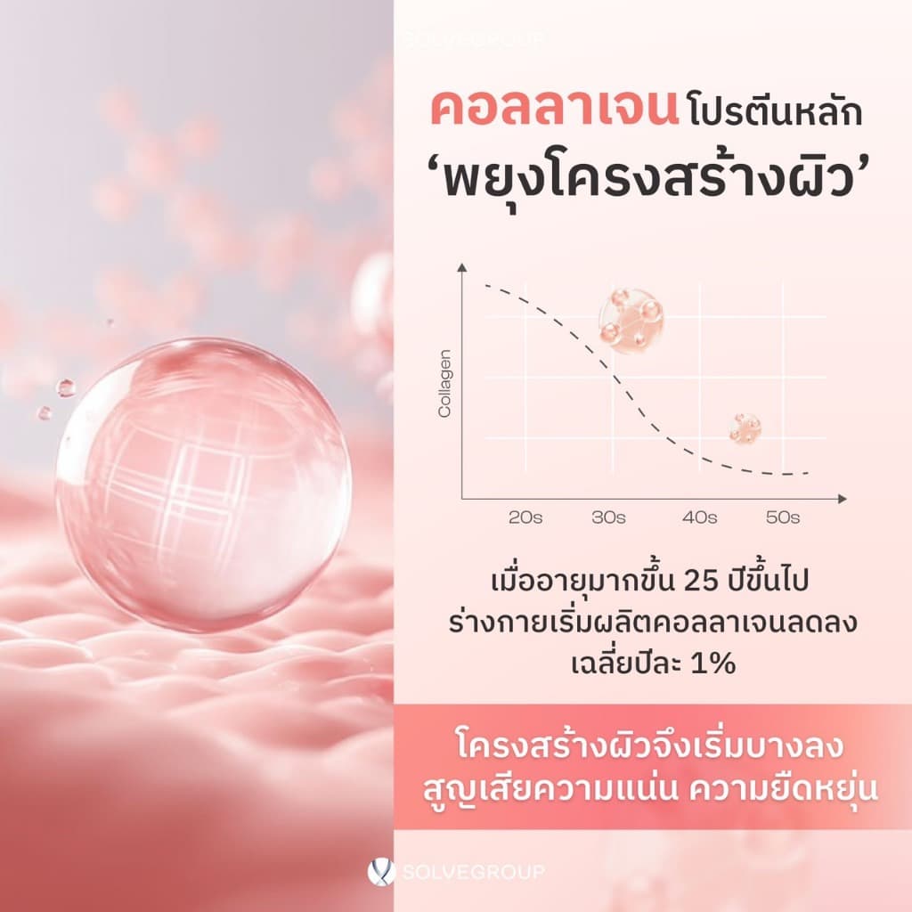 Daily Collagen Dipeptide Plus Ceramide 1 กล่อง คอลลาเจนผิว รูปที่ 3