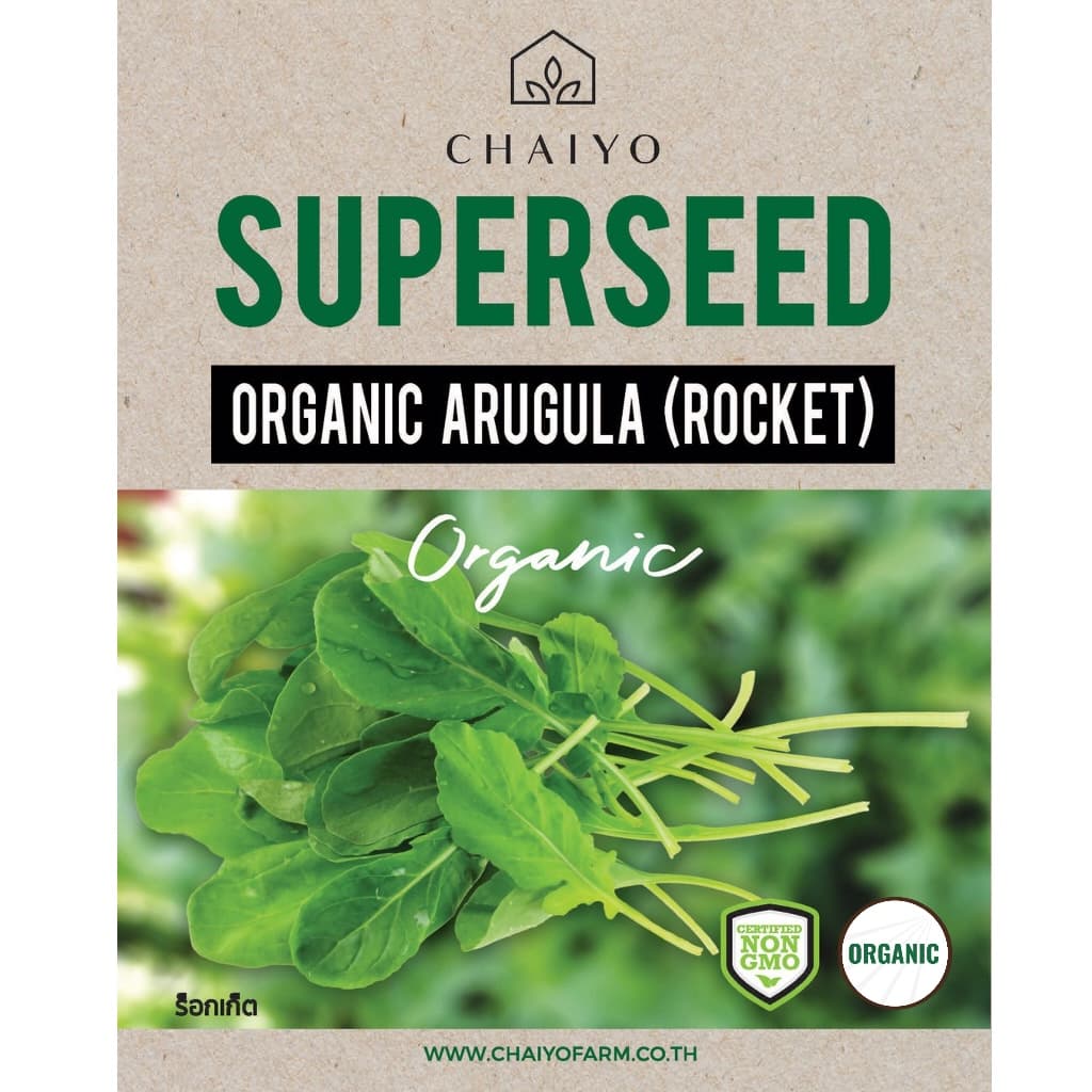 เมล็ด ARUGULA Organic ร็อกเก็ต ออร์แกนิค รูปที่ 2