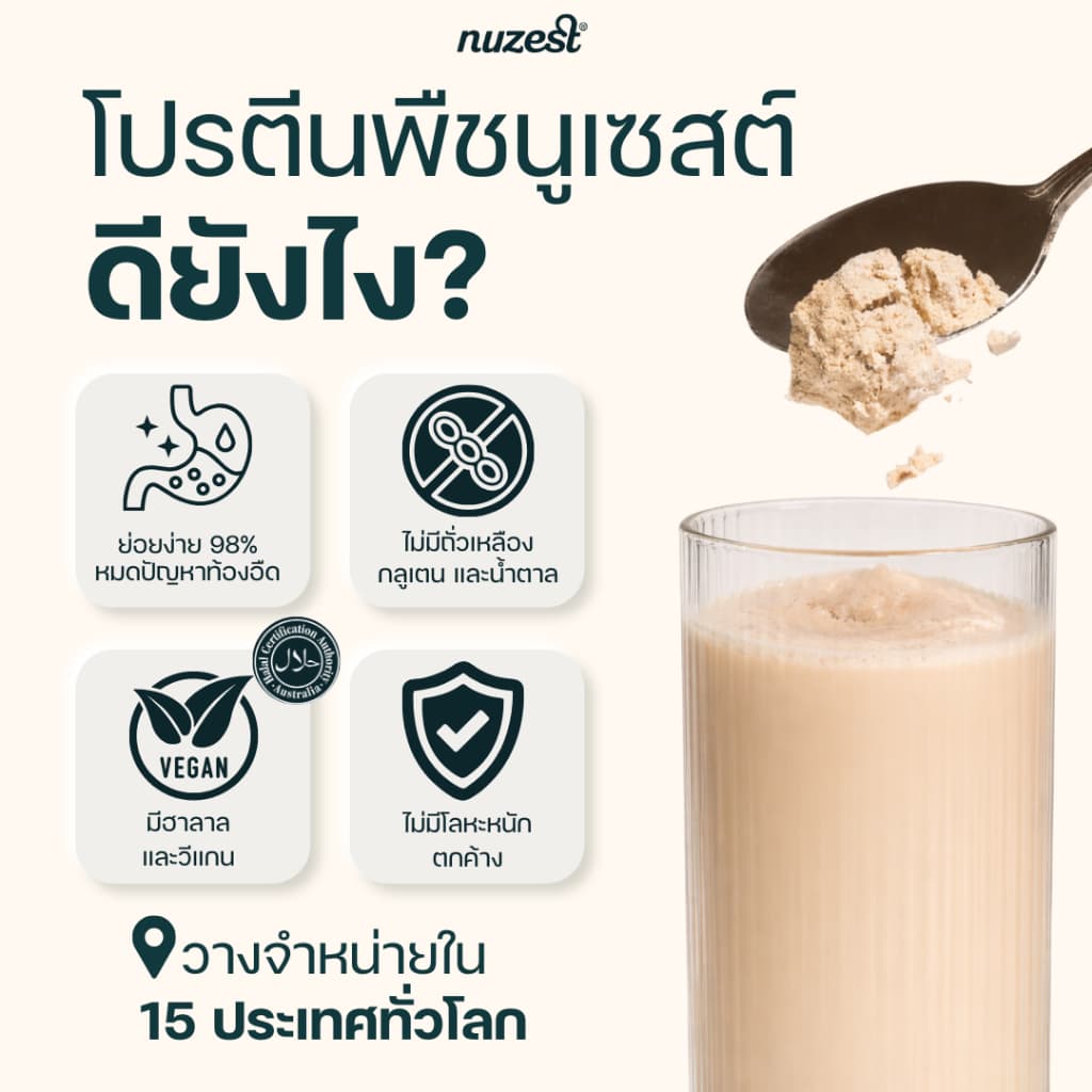 โปรตีนพืช Plant protein Nuzest โปรตีนคุณหนูดี จากถั่วลันเตา ช่วยลดน้ำหนัก ผู้สูงอายุ คนท้อง เพิ่มกล้ามเนื้อ ชงดื่ม STRW รูปที่ 2