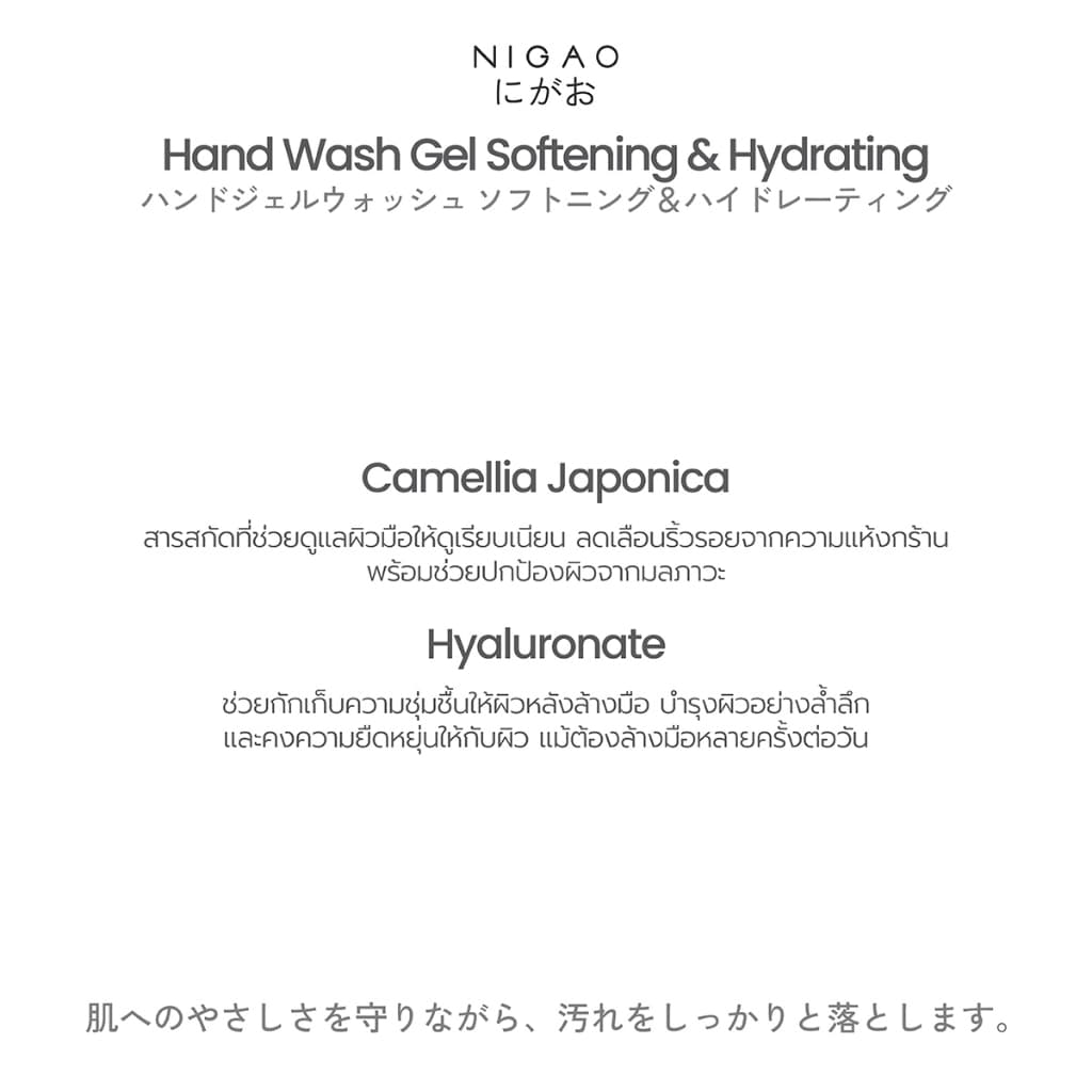 NIGAO Hand Wash Gel | นิกาโอะ แฮนด์ วอช เจล 450 mL รูปที่ 2